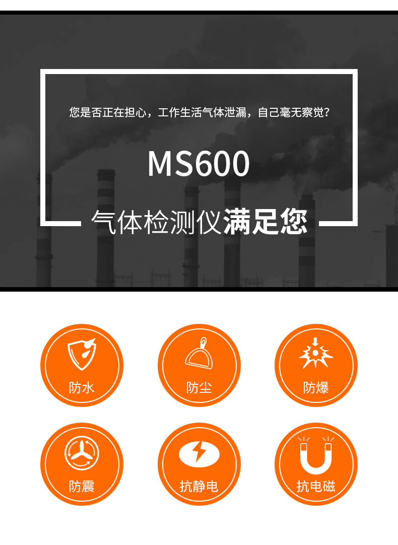 MS600便攜式氣體檢測儀